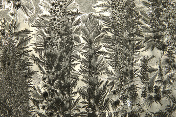black and white background
