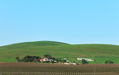 Lovely wine farm in Darbunville hills