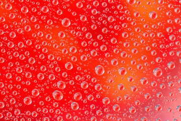 Water drops on red background. Top view. Closeup.