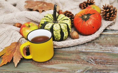 Pumpkins, apples, nuts,leaves, cups and sweater on wooden background.