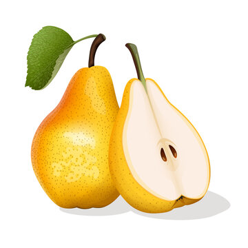 Fresh yellow pear and half. Vector illustration.