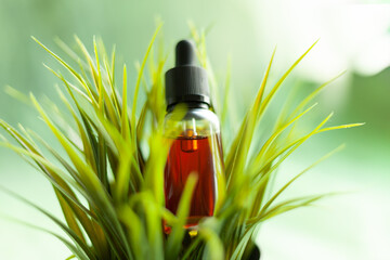 hair and beard oil, wooden comb, hair care