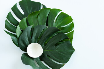 Tropical green leaves of monstera plant and white field for text on background, top white small plate for cosmetics