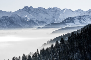 Forested mountain slope and mountain range with snow in low lying valley fog with silhouettes of evergreen conifers shrouded in mist. Snowy winter landscape in Alps, Allgau, Kleinwalsertal, Bavaria.