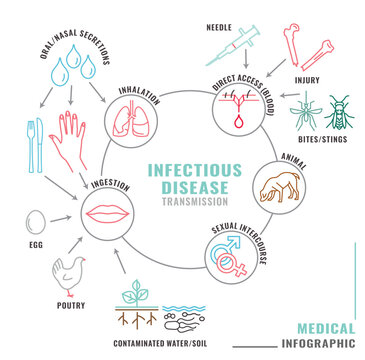 Infectious disease transmission