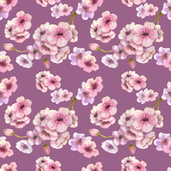 Seamless pattern. Cherry color. Sakura branch with pink flowers on a lilac background. Image of spring. Watercolor illustration. Design element.