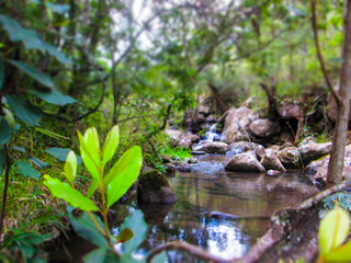 Naklejka premium Waterside