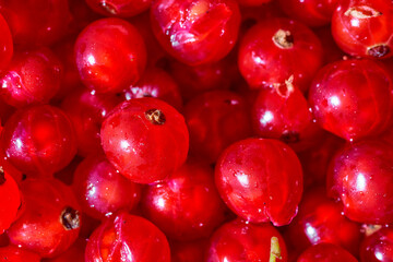 Background ripe Red currants. Close-up. Top view.
