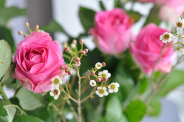 bouquet of the beautiful pink roses