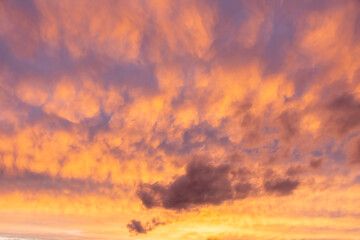 Fototapeta premium An impressive orange sunset