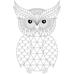 Vector - Coloring page for adult and older children. Coloring page with cute owl and floral frame. Outline drawing.Vector - Vector decorative doodle ornamental owl. Abstract vector illustration of owl