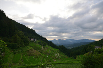 内子の泉谷棚田