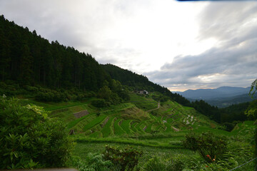 内子の泉谷棚田