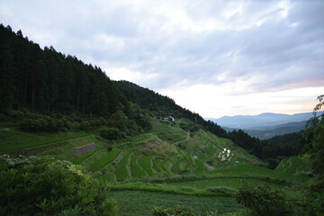 内子の泉谷棚田