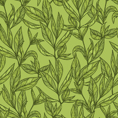 Hand drawn engraving style Green tea leaves Seamless pattern. Vector illustration