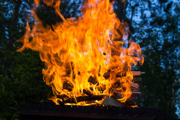 A large flame from burning wood piled in a woodpile, against the background of the forest and the blue sky.