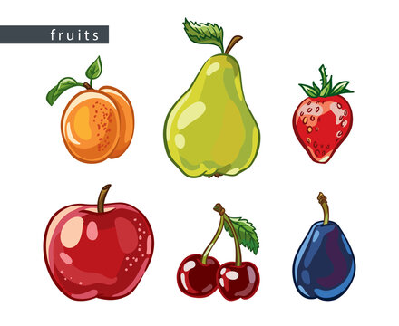 sketch_fruit_set_six_pieces