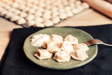 Homemade meat dumplings laying on plate