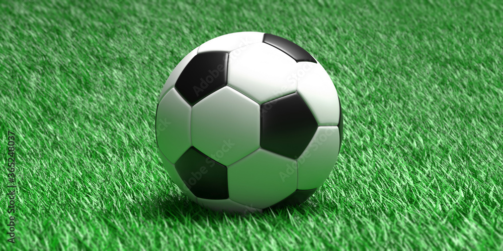 Wall mural Soccer ball, football close up view, green grass field background. 3d illustration