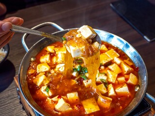とっても辛い麻婆豆腐 / Mapo tofu / マーボー豆腐 / 中華料理