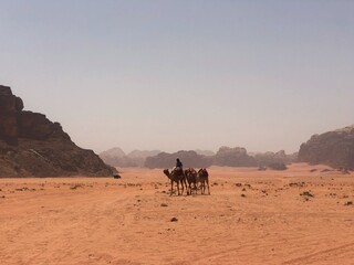 Fototapeta na wymiar Jordan. Red desert Wadi Rum. Sand landscape, amazing travel destination