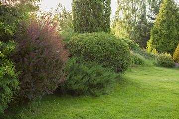 Beautiful view of landscaped garden in backyard. Scenery of natural landscaping area in summer.