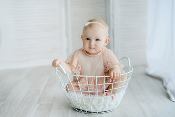 Baby girl posing in a vintage basket. The look at her face expresses her exploration of the world.