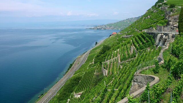 Scenic view of steep Lavaux terraced vineyards over Geneva lake in Dezaley Lavaux Vaud Switzerland