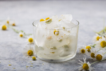 Ice cubes with chamomile flowers inside. Springtime symbolism