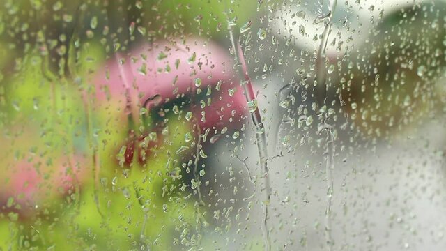 Drops of rain running down a windowpane. Outside, the rain. Tree branches sway in the wind. Sometimes people pass.