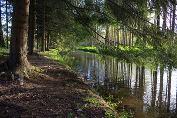 Fish channel in Catherine Park, on both sides planted with trees that are reflected in the water of the channel.
