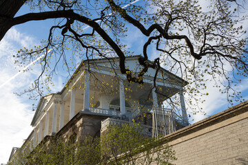 View from below through the branches of a tree on the white gallery of Catherine Park with columns...