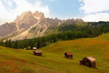 Panorama of the Italian Alps mountains, green flowery meadow with yellow and red flowers, small wooden farmhouses on the hills, peaks of the rocky mountains in the background. Warm and relaxing sunset