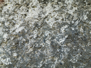 Fragment of old cement wall. Textured background. Grunge style