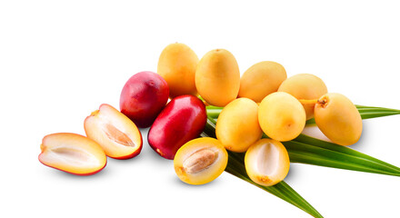 phoenix dactylifera fresh isolated on white background