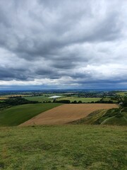 Obraz premium green field and blue sky
