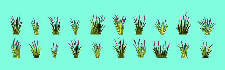 Set of simple cattail or typha leaves, isolated vector illustration on blue background