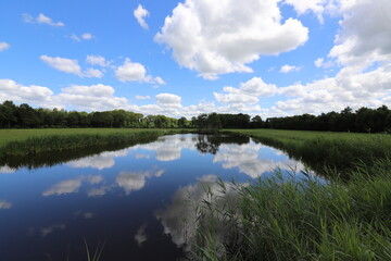 Fototapeta na wymiar Beautiful view over Dutch water rural landscape during the summer with a beautiful blue sky and white clouds.