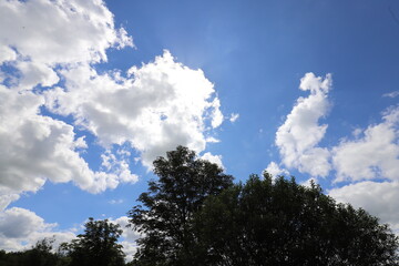 Real amazing beautiful blue sky above a forest edge.