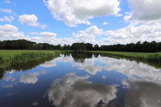 Beautiful view over Dutch water landscape during the summer with a beautiful blue sky and white clouds. © Johan