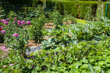 pretty little flower garden in the countryside filled with varied vegetables under the summer sun