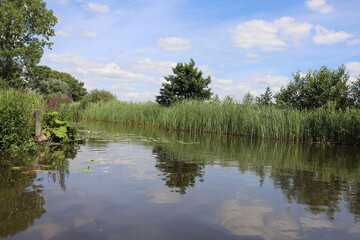 Beautiful view over Dutch water landscape during the summer with a beautiful blue sky and white clouds.