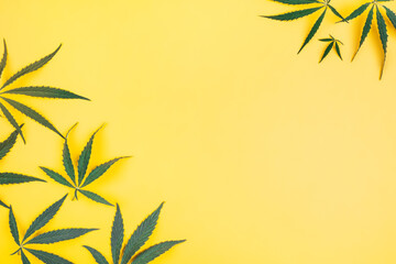 Cannabis leaves on a yellow background. Beautiful background with fresh grass.
