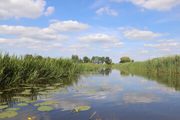 Beautiful view over Dutch water landscape during the summer with a beautiful blue sky and white clouds.