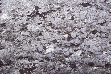 Mur anthracite