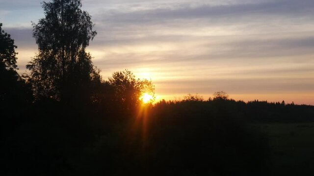 sunrise in the forest and field view of the sun from the train