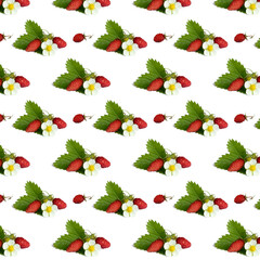 Wild strawberries . simple patern on a white background. berries and flowers and leaves of strawberries