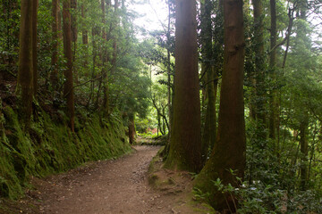Fototapeta premium Açores; Azores