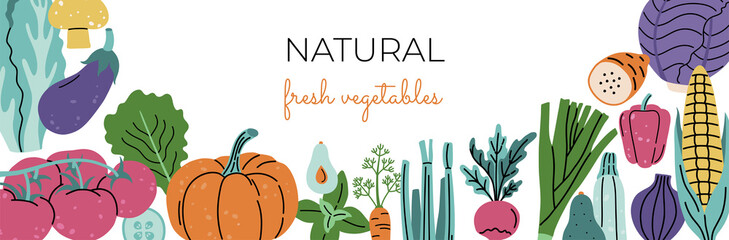 Social media banner, fresh vegetables. Hand drawn trendy modern template. Colorful organic plants, cabbage, corn, basil, eggplant and tomato. Vector concept, isolated on white background. 