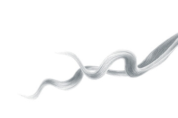 Gray hair on white background, isolated. Thin curly threads